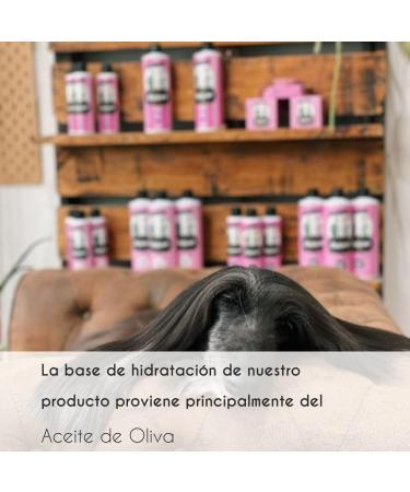Petuxe Biphasic Conditioner for Pets - Vegan Formula for Dogs & Cats | Moisturizes & Adds Shine | 300ml - Buy Online on GoSupps.com
