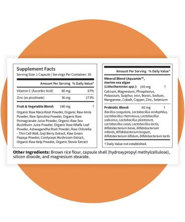 Pattern Wellness Zinc Complex Supports Immune, Skin & Digestive Health High Absorption Zinc with Vitamin C, Probiotics & Natural Blends 30 Vegan Capsules 30 Count (Pack of 1) - Buy Online on GoSupps.com