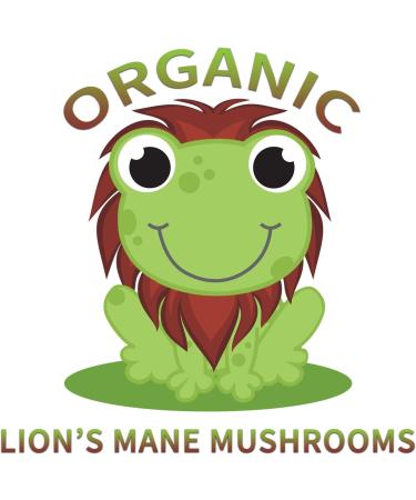 Creekside Natural Focused Mind Teen: Memory & Focus Support w/ Lion's Mane - Pediatrician Formulated, Vegan - 60 Capsules - Buy Online on GoSupps.com