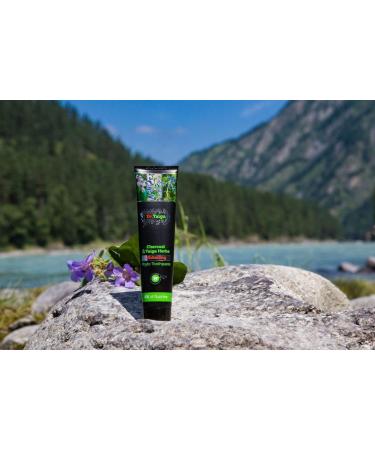 Dr. Taiga Dentifrice Blanchissant au Charbon et Herbes de la Ta ga 45910 TianDe Sans Fluorure 120 g - Buy Online on GoSupps.com