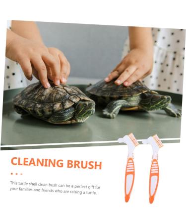 VANZACK 2pcs Turtle Shell Cleaning Brush Set - Denture Tortoise Shell Braces and Kitchen Scrubber | Perfect for Fish Tanks & Shoes - 16x5cm - Buy Online on GoSupps.com
