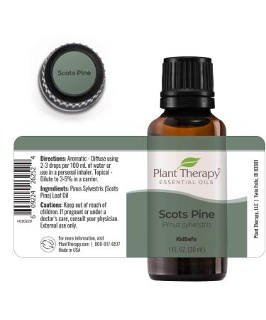 Buy Plant Therapy Scots Pine Essential Oil 30 mL | 100% Pure Undiluted & Therapeutic Grade - International Shipping Available - Buy Online on GoSupps.com
