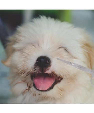 4-Piece Tear Stain Removal Comb Set for Dogs - Double-Sided Eye Combs Fur Scissors & Concealer Brushes for Crusts & Mucus - Buy Online on GoSupps.com