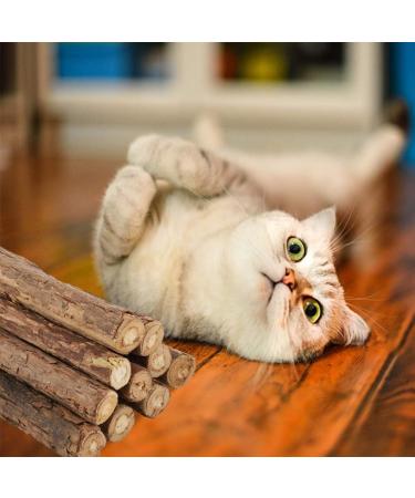 tiopeia 30 PCS Cat Catnip Sticks Natural Matatabi Chew Sticks as Dental Treat Teeth Grinding Chew Toys for Cat Kitten Kitty - Buy Online on GoSupps.com
