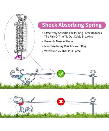 Mi Metty 15ft Kausproof Dog Leash with Absorbent Spring - Durable Dog Training Line for Courtyard & Camping - Purple (4.5m) - Buy Online on GoSupps.com
