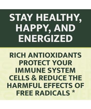 Quercetin with Vitamin C, Zinc, and Bromelain | 500mg Quercetin Supplements with Vitamin D3 | 120 Veggie Caps | Non-GMO, Gluten-Free, Vegan | 2 Month Supply - Buy Online on GoSupps.com