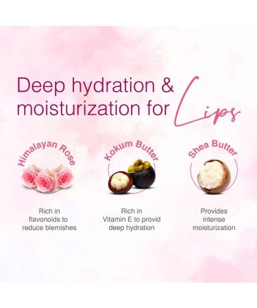Falak Himalayan Rose Lip Balm - Moisturize & Repair Chapped Lips with 100% Natural Himalayan Rose Oil - 10g - Buy Online on GoSupps.com