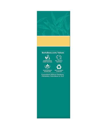 Burt's Bees Natural Acne Solutions Maximum Strength Spot Treatment Cream for Oily Skin  0.5 Oz (Package May Vary) Targeted Spot Treatment - Buy Online on GoSupps.com