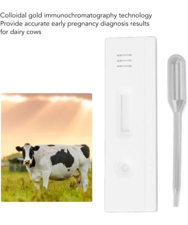 High Accuracy Pregnancy Test Strips for Cows | Quick Detection & Easy Operation | Reliable Early Pregnancy Diagnostic Tool - Buy Online on GoSupps.com