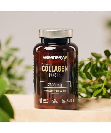 Trec Nutrition Sp z oo ESSENSEY Collagen Forte I 2400 mg per recommended daily dose I 120 capsules I hydrolyzed collagen type I SOLUGEL I 60 daily doses I Easy to swallow - Buy Online on GoSupps.com