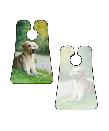 Labrador Retriever Beard Bib for Men | Hair Catcher Apron Gift for Father's Day Valentine's Christmas - One Size - Buy Online on GoSupps.com