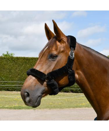 Rhinegold Fur Trim Headcollar - Full - Black