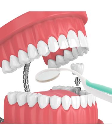 Buy Healifty 2pcs Dental Mirror with Light - Green & Orange Tooth Inspection Tools for Optimal Oral Care - International Shipping Available - Buy Online on GoSupps.com