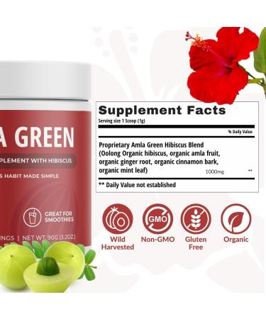 Amla Powder Green Tea Superfood Supplement with Pumpkin Spice & Hibiscus & Elderberry Organic Vegan 30 Servings - Buy Online on GoSupps.com