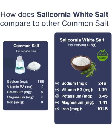 Sel Blanc Salicornia Saltwise Substitut De Sel Faible Teneur En Sodium Sel Min ral V g tal Casher 100% Naturel Sans Additifs (200 G) 1 g (Lot de 1) - Buy Online on GoSupps.com