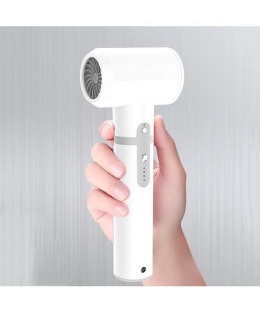 Cordless Handheld Hair Dryer Portable Travel Hair Dryer Lightweight Blow Dryer 2600mAh Rechargeable Wireless Hair Dryer for Art Painting/Home/Outdoor