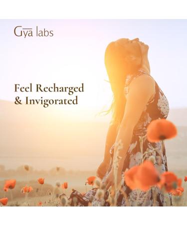 Gya Labs Purify Essential Oil Blend for Diffuser & Skin - Fresh & Cleansing Scent for Aromatherapy Air Freshener (0.34 fl oz) - Buy Online on GoSupps.com