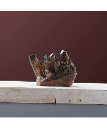 Minerals Stones Natural Transparent Tawny Stone Stone Quartz Crystal Cluster Cleaning degrupting Ornaments for Decoration Crystal Stones Decoration Natural Stones and Minerals (Color : Smoked Quartz 150-200g Smoked Quartz - Buy Online on GoSupps.com