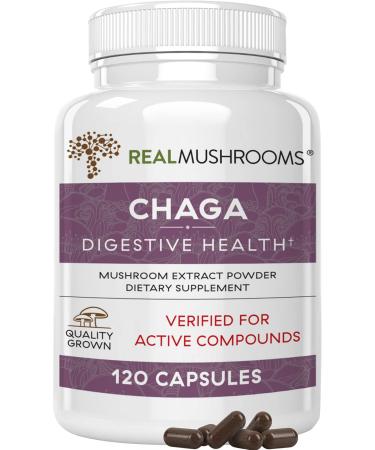 Chaga Extract Immune and Digestive Support Organic Capsules - Non-GMO Supplement with Beta-Glucans 120 Count (Pack of 1)
