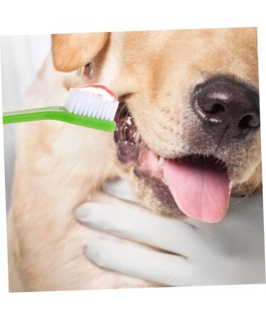 Levemolo 12pcs Double Head Dog Toothbrush Dog Oral Cleaning Toothbrush Cat Toothbrush and Toothpaste Pet Pp - Buy Online on GoSupps.com