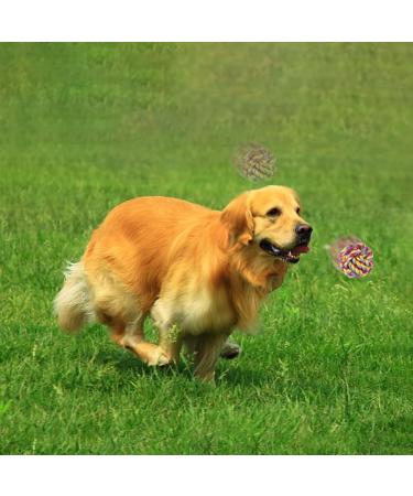 Vivifying Dog Rope Ball 2 Pack Braided Cotton Chew Balls for Dental Care & Play - Buy Online on GoSupps.com
