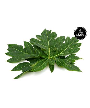 Naturevibe Botanicals Papaya Leaf Cut & Sifted - 1lb (16 oz) | Pure & Organic - Buy Online on GoSupps.com