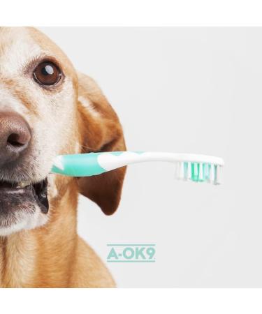 A-OK9 Plaque-K9 Dental Supplement for Dogs - Removes Plaque, Bad Breath & Tartar | Oral Hygiene Support with Natural Ingredients - Absolute Dogs - Buy Online on GoSupps.com