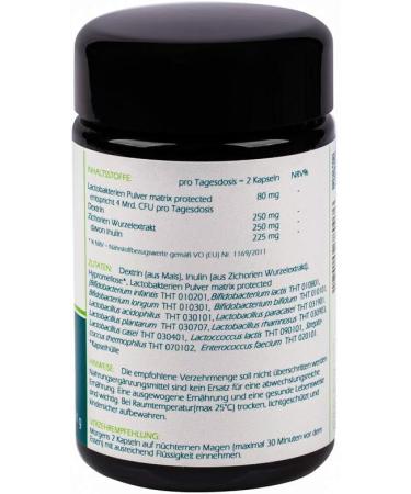 Buy Vitalsee Vitabiotica 12 Opus Magnum - 60 Capsules with 12 Lactobacteria Tribes & 4 Billion CFU | Supports Intestinal Flora & Immune System | Gluten-Free & Lactose-Free - Buy Online on GoSupps.com