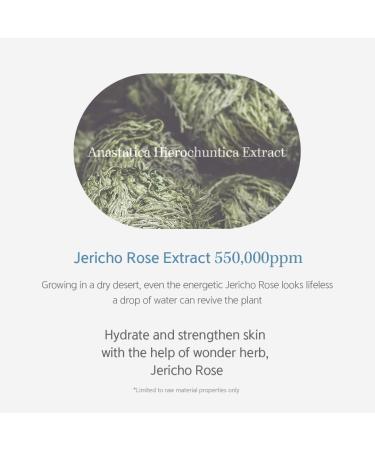 NACIFIC Hyal Booster Toner 150ml | 55% Jericho Rose Extract & Hyaluronic Acid | Calming pH 5.5 | Radiance Hydration | Korean Skincare for All Skin Types - Buy Online on GoSupps.com