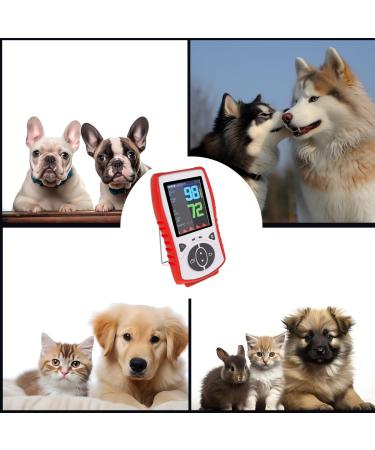 Vet Pulse Oximeter - Handheld Pet Vital Signs Monitor for Dogs Cats & Horses | SpO2 Heart Rate TEMP | Rechargeable LCD Device (Orange Case - Buy Online on GoSupps.com