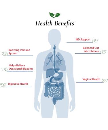 Foods For Gut Bacillus Coagulans Probiotic Powder 350 Billion cfu's | No Additives | Direct from Manufacturer | Digestive & Immune Support | High Potency | B. Coagulans | 30 Grams (1.05 Oz) 1.05 Ounce (Pack of 1) - Buy Online on GoSupps.com