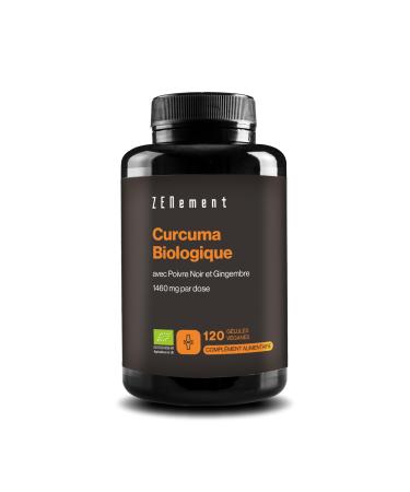 Zenement Ecological Turmeric - 1460mg per Serving (2 Capsules) with Ginger and Black Pepper - 100% Ecological and Vegan High Absorpti