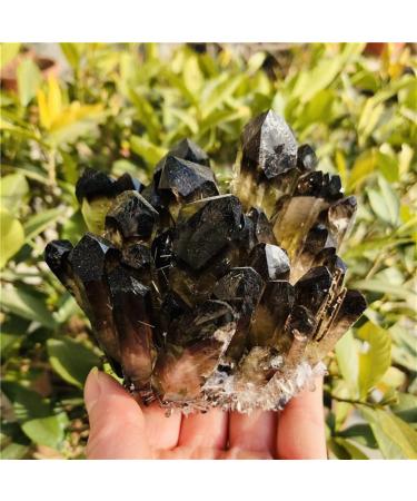 Hot Quartz Cluster Natural Cairngorm s Flowers Smoky Quartz ClusterCan be Used for (Size : 300-400g) JZIGTDEM (Size : 700-800g) - Buy Online on GoSupps.com