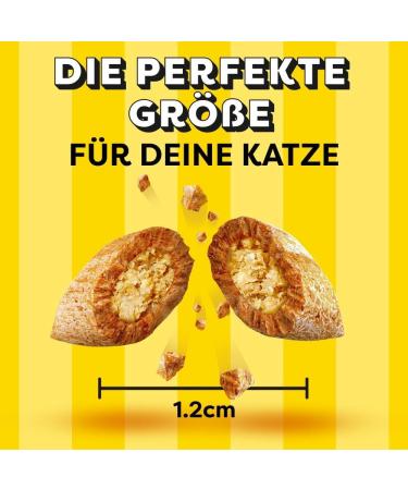 Dreamies Classic Cat Snacks with Salmon - Crispy Treats for Cats - 700g Pack (2 x 350g) - International Shipping Available - Buy Online on GoSupps.com