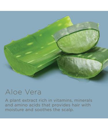 Hairitage Don t Wait Up Anti-Dandruff Scalp Mist - Overnight Relief for Dry Itchy Scalp with Aloe Vera & Peppermint - 4 Fl Oz - Buy Online on GoSupps.com
