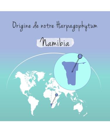 Harpagophytum Plus Vegavero | With Devil's Claw Ginger & White Willow | No Additives | Joint Bread | With Harpagosides Gingerols & Salicin | 120 Capsules | VEGAN - Buy Online on GoSupps.com