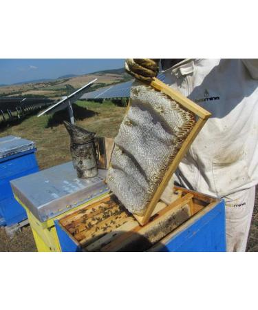 Raw Honey 1.5Kg - Wild Flowers - Unheated Unpasteurized Living Natural Pure Wildflowers Honey - Buy Online on GoSupps.com