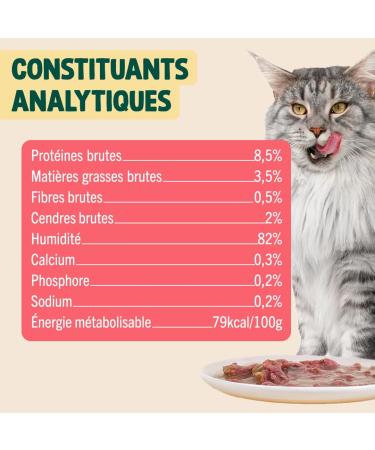 Franklin Fillet in Sauce for Cats Healthy Food with 85% Chicken and Salmon Improves Coat Shine Suitable for - Buy Online on GoSupps.com