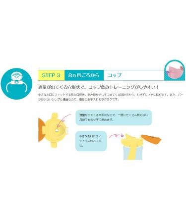 Richell Try Straw Mug Set 270ml - Ideal for Babies 5-8 Months | Step Up Transition Cup - Buy Online on GoSupps.com