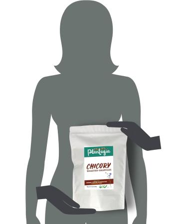 Plantagia Chicory Root Roasted Granules Organic 1 KG / 2.2 LB Natural Coffee Substitute Only One Ingredient - Buy Online on GoSupps.com