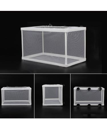 Large Fish Breeder Net with Suction Cups - Nylon Mesh Hatchery Isolation Box for Aquarium Tank - Buy Online on GoSupps.com