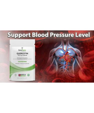 Bodygenix Quercetin 750mg Veg Capsules | UK Manufactured Energy Booster (30 Capsules) - Buy Online on GoSupps.com