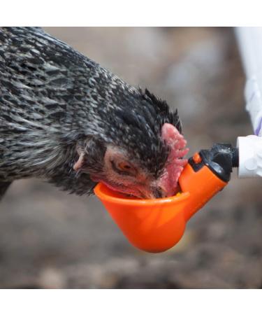 Red Automatic Plastic Chicken Drinker Cups 6pcs Poultry Drinke Used for Poultry Chicken Hen and Birds - Buy Online on GoSupps.com