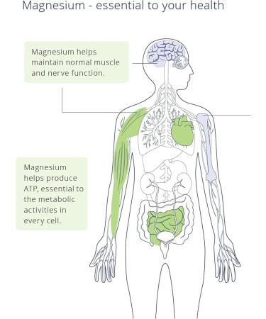 CanPrev 240g Magnesium Bisglycinate Powder 400mg - Chelated Complex, 3rd Party Tested, Made in Canada - Buy Online on GoSupps.com