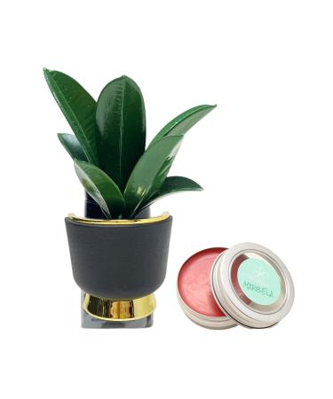 Bath & Body Works Sleek Botanical Wallflowers Fragrance Plug and a Strawberry Lip Balm