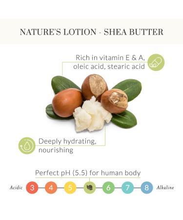 Lavender Shea Butter Body Lotion for Dry Skin - Vegan Moisturizer with Organic Aloe Vera & Cocoa Butter - All Natural Colloidal Oatmeal Lavender - 8.50 Fl Oz - Buy Online on GoSupps.com