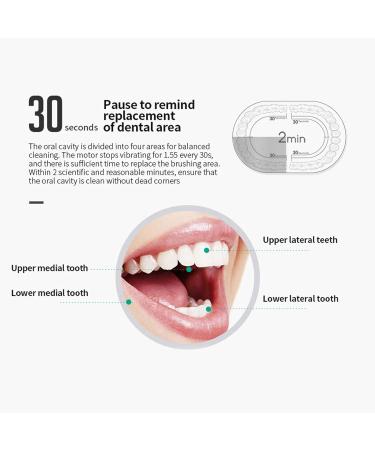 Electric Toothbrush - IPX7 Waterproof 6 Modes & 4 Heads (Pink) - International Shipping Available - Buy Online on GoSupps.com
