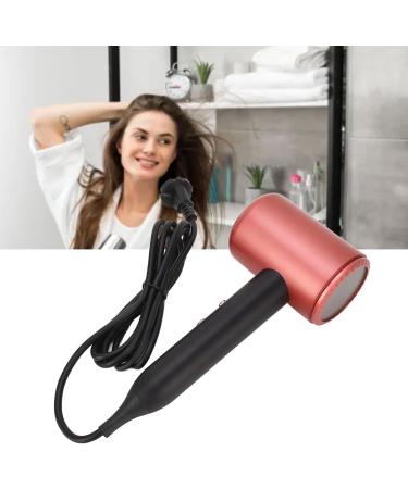 Professional Ionic Hair Dryer 1800W Fast Drying Low Noise with 2 Nozzles Hair Care & Repair Overheat Power Saving (US Plug 110V) - Buy Online on GoSupps.com