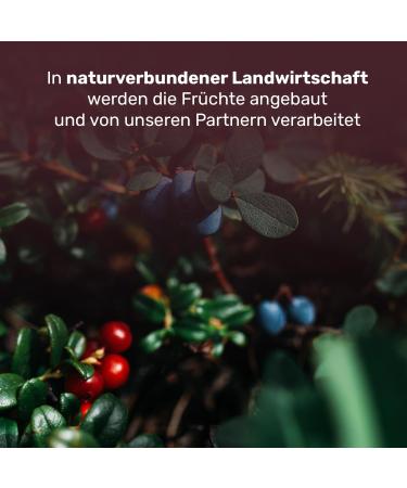  ARISTOS Aristos Evlogia Fruit Spreads Greek Forest Fruits | Sugar-Free Jam Breakfast Spread Bread Spread Everyday Food - Buy Online on GoSupps.com