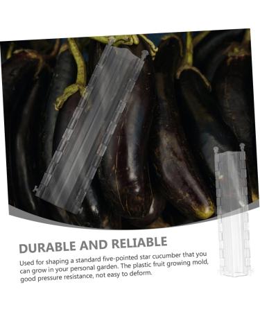 2pcs Vegetable Shaping Mold Cucumbers Vegetables Garden Fruit Mold Fruit Shaping Mold Modeling Melon - Buy Online on GoSupps.com